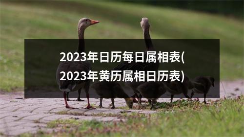 2023年日历每日属相表(2023年黄历属相日历表)