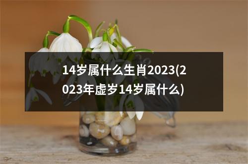 14岁属什么生肖2023(2023年虚岁14岁属什么)