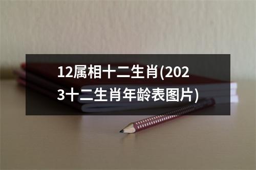 12属相十二生肖(2023十二生肖年龄表图片)