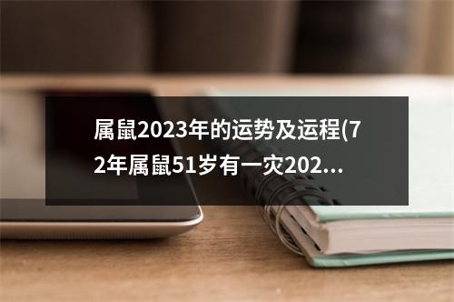 属鼠2023年的运势及运程(72年属鼠51岁有一灾2023)