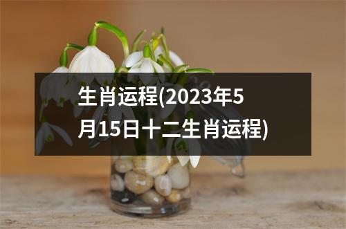 生肖运程(2023年5月15日十二生肖运程)