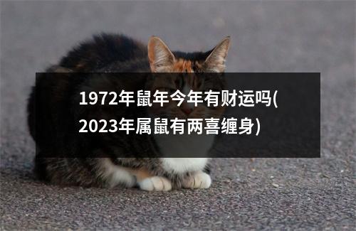 1972年鼠年今年有财运吗(2023年属鼠有两喜缠身)