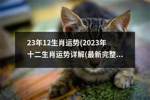 23年12生肖运势(2023年十二生肖运势详解(新完整版)2020)