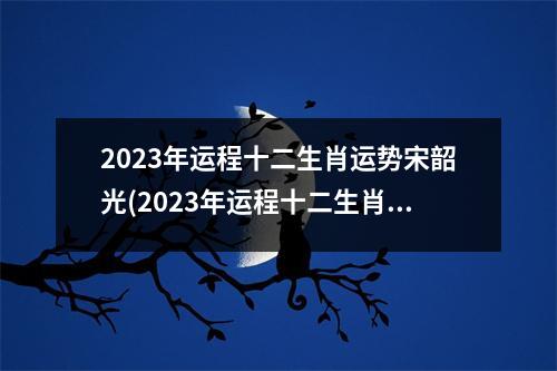 2023年运程十二生肖运势宋韶光(2023年运程十二生肖运势紫薇星)