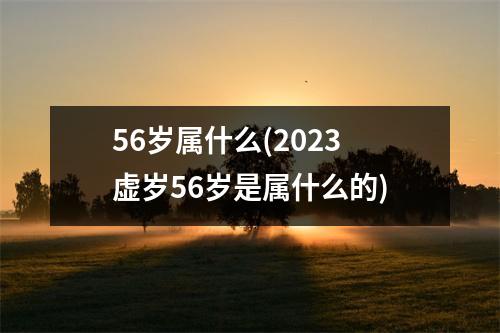 56岁属什么(2023虚岁56岁是属什么的)