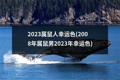 2023属鼠人幸运色(2008年属鼠男2023年幸运色)