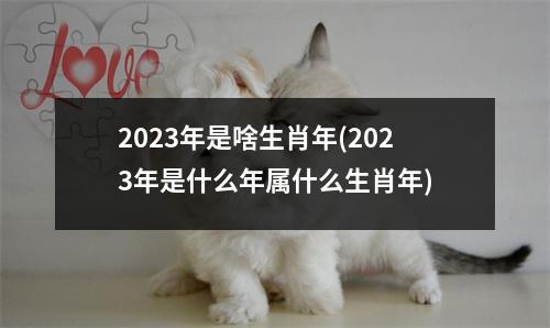 2023年是啥生肖年(2023年是什么年属什么生肖年)