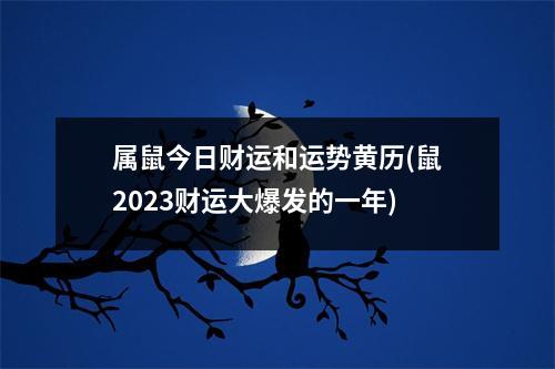 属鼠今日财运和运势黄历(鼠2023财运大爆发的一年)