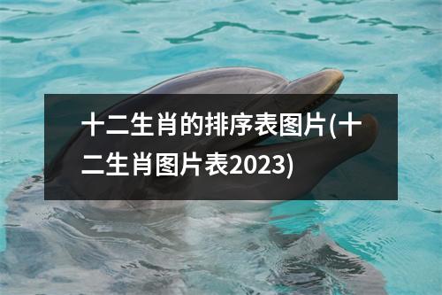 十二生肖的排序表图片(十二生肖图片表2023)