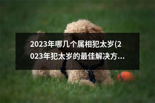 2023年哪几个属相犯太岁(2023年犯太岁的佳解决方法)