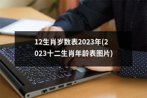 12生肖岁数表2023年(2023十二生肖年龄表图片)