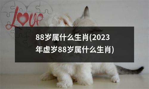 88岁属什么生肖(2023年虚岁88岁属什么生肖)