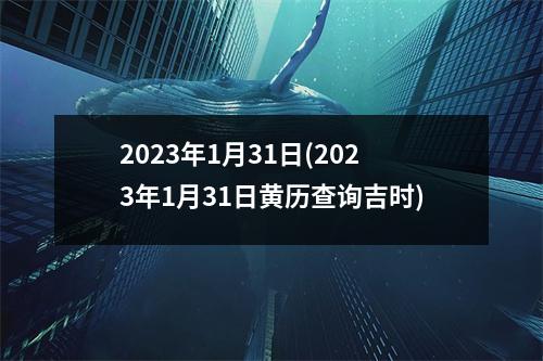 2023年1月31日(2023年1月31日黄历查询吉时)