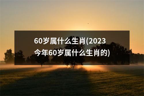 60岁属什么生肖(2023今年60岁属什么生肖的)