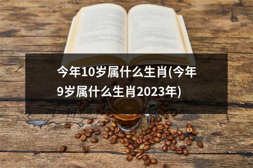 今年10岁属什么生肖(今年9岁属什么生肖2023年)