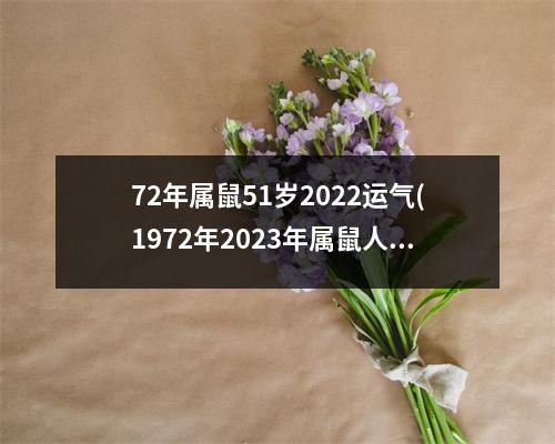 72年属鼠51岁2022运气(1972年2023年属鼠人的全年运势)