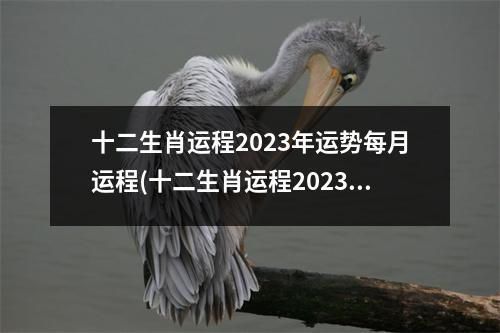 十二生肖运程2023年运势每月运程(十二生肖运程2023年运势每月运程老黄历)