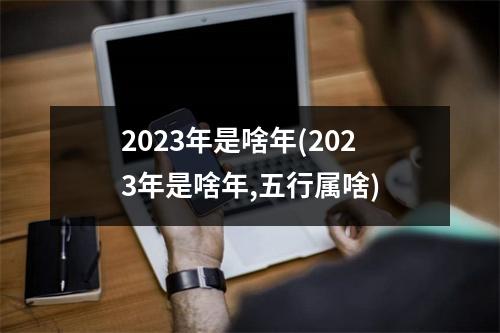 2023年是啥年(2023年是啥年,五行属啥)