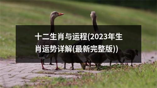 十二生肖与运程(2023年生肖运势详解(新完整版))