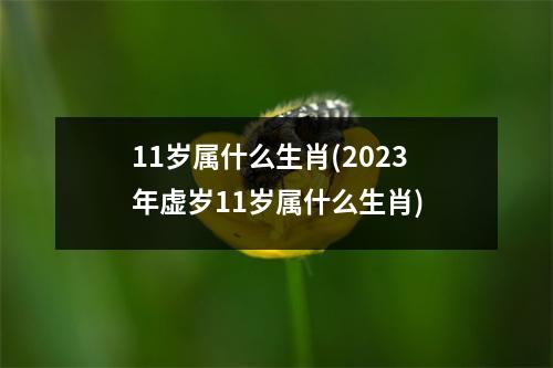 11岁属什么生肖(2023年虚岁11岁属什么生肖)