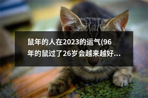 鼠年的人在2023的运气(96年的鼠过了26岁会越来越好)