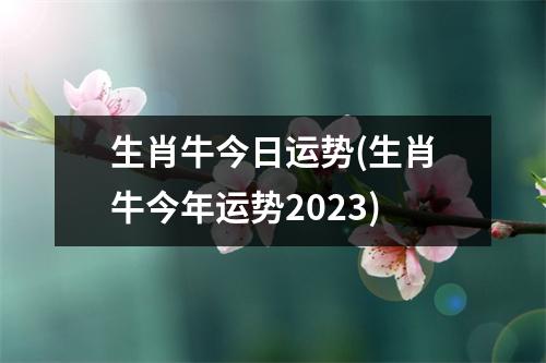 生肖牛今日运势(生肖牛今年运势2023)