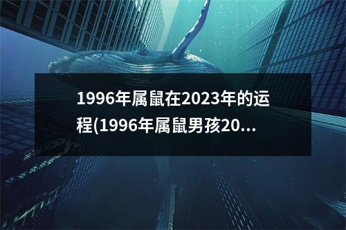 1996年属鼠在2023年的运程(1996年属鼠男孩2023年运势)