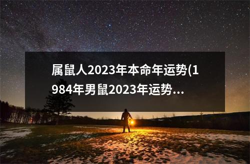 属鼠人2023年本命年运势(1984年男鼠2023年运势及运程)