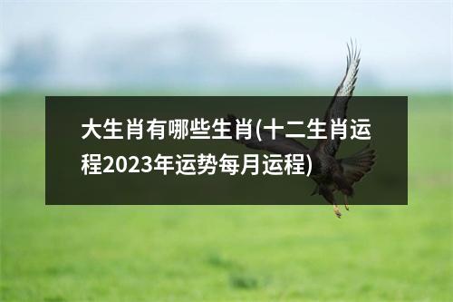 大生肖有哪些生肖(十二生肖运程2023年运势每月运程)