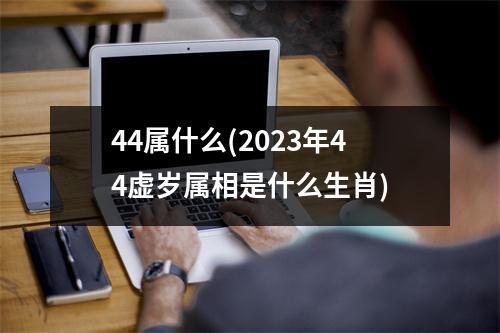 44属什么(2023年44虚岁属相是什么生肖)