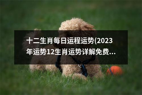 十二生肖每日运程运势(2023年运势12生肖运势详解免费)