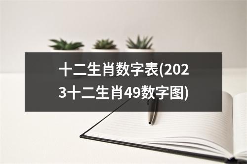 十二生肖数字表(2023十二生肖49数字图)