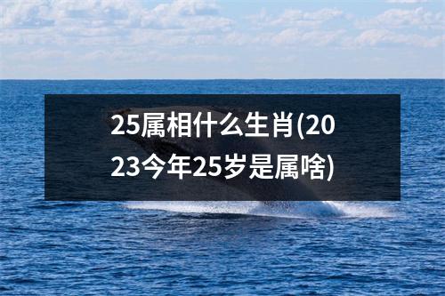 25属相什么生肖(2023今年25岁是属啥)