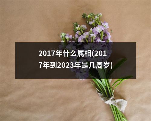 2017年什么属相(2017年到2023年是几周岁)