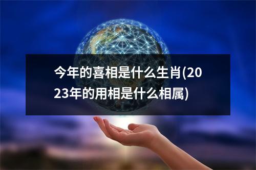 今年的喜相是什么生肖(2023年的用相是什么相属)