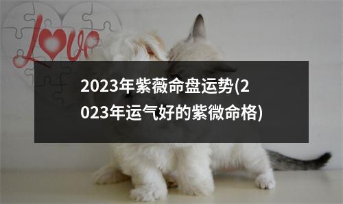 2023年紫薇命盘运势(2023年运气好的紫微命格)