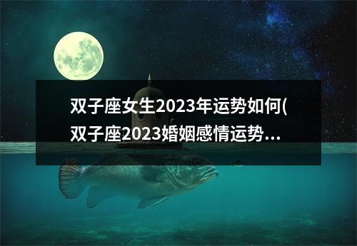 双子座女生2023年运势如何(双子座2023婚姻感情运势)