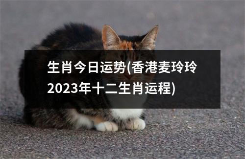 生肖今日运势(香港麦玲玲2023年十二生肖运程)