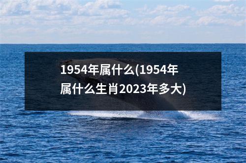 1954年属什么(1954年属什么生肖2023年多大)