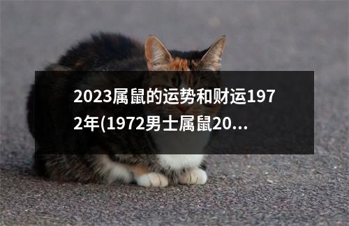 2023属鼠的运势和财运1972年(1972男士属鼠2023年整体财运)