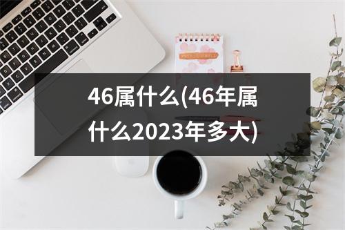 46属什么(46年属什么2023年多大)