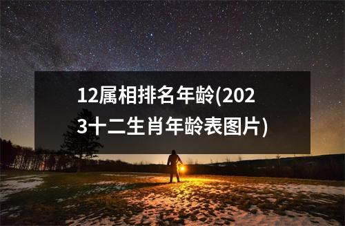 12属相排名年龄(2023十二生肖年龄表图片)