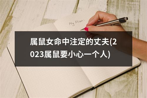 属鼠女命中注定的丈夫(2023属鼠要小心一个人)