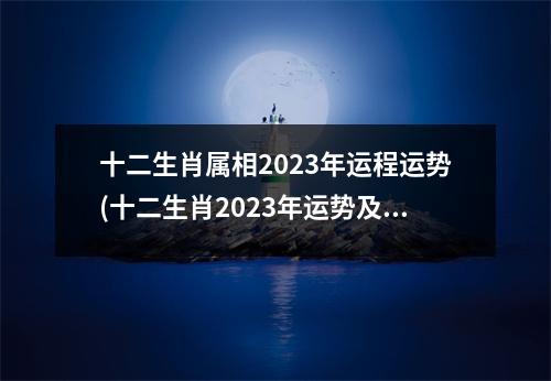 十二生肖属相2023年运程运势(十二生肖2023年运势及运程每月运程)