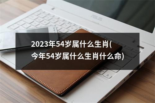 2023年54岁属什么生肖(今年54岁属什么生肖什么命)