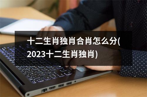 十二生肖独肖合肖怎么分(2023十二生肖独肖)