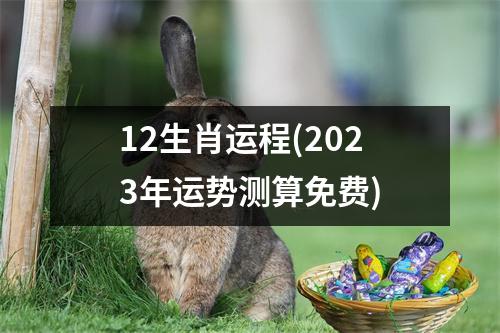 12生肖运程(2023年运势测算免费)