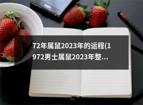 72年属鼠2023年的运程(1972男士属鼠2023年整体财运)