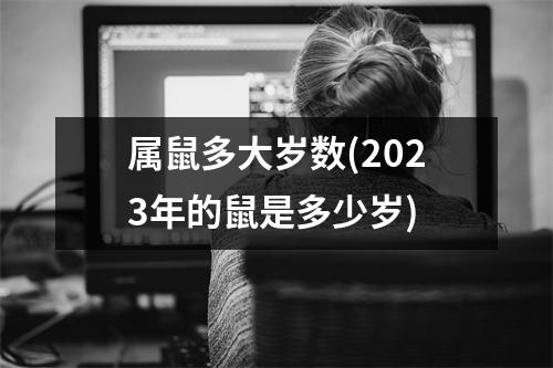 属鼠多大岁数(2023年的鼠是多少岁)