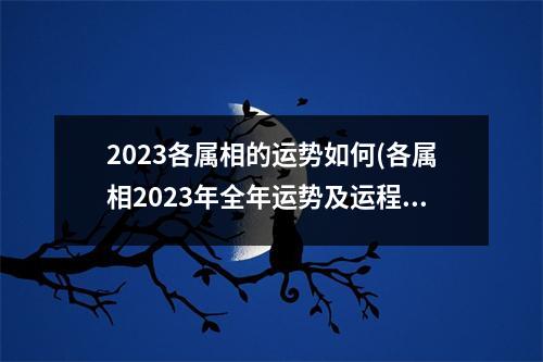 2023各属相的运势如何(各属相2023年全年运势及运程)